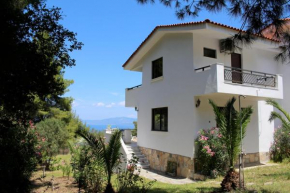 Nico Mare 1, Paliouri